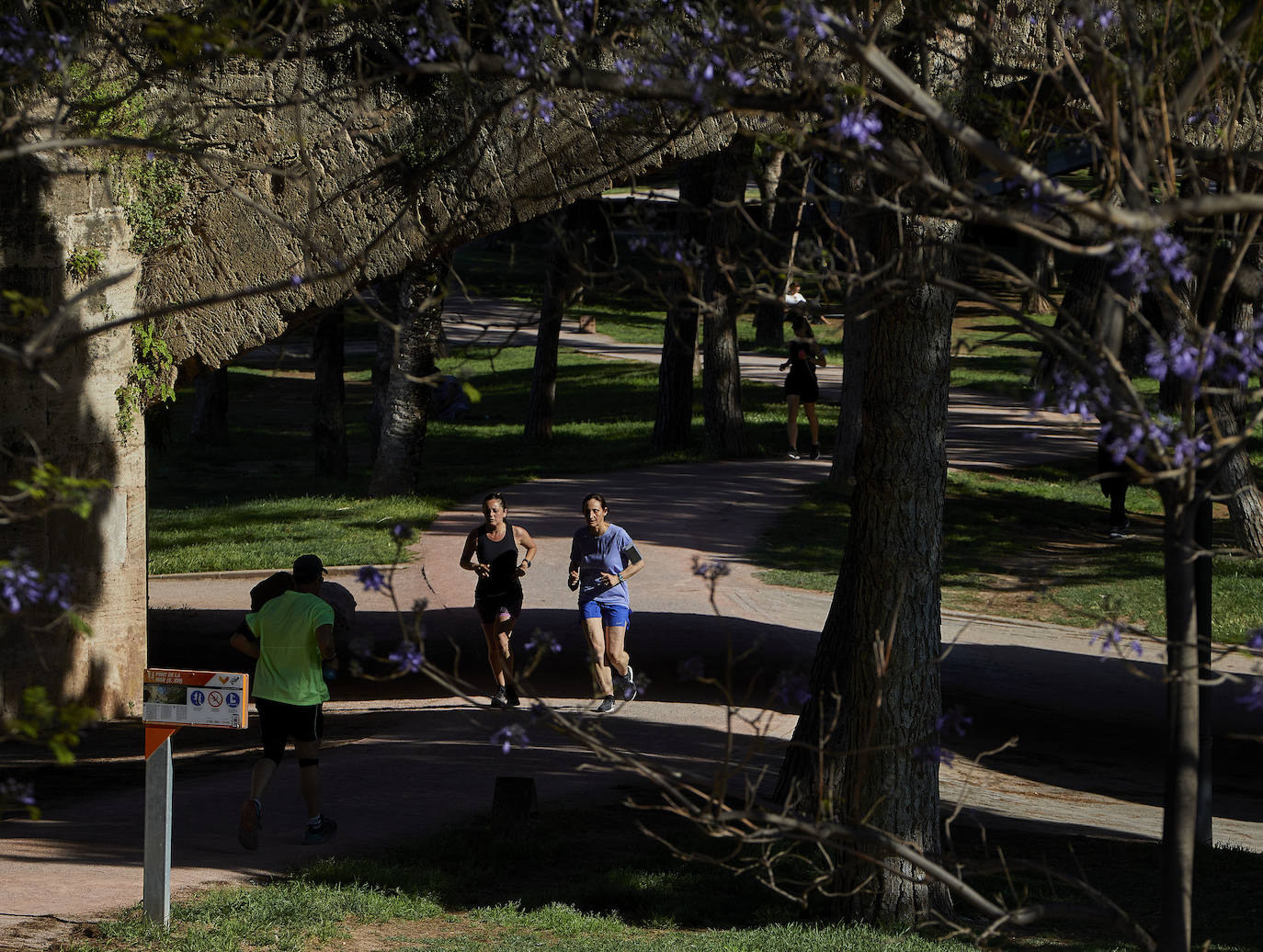 Fotos: Búscate en el Circuito 5K del Cauce del Turia de Valencia