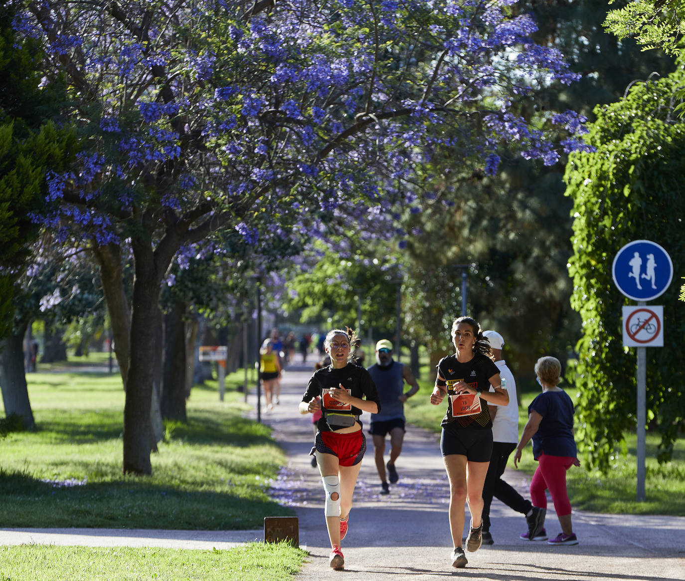 Fotos: Búscate en el Circuito 5K del Cauce del Turia de Valencia