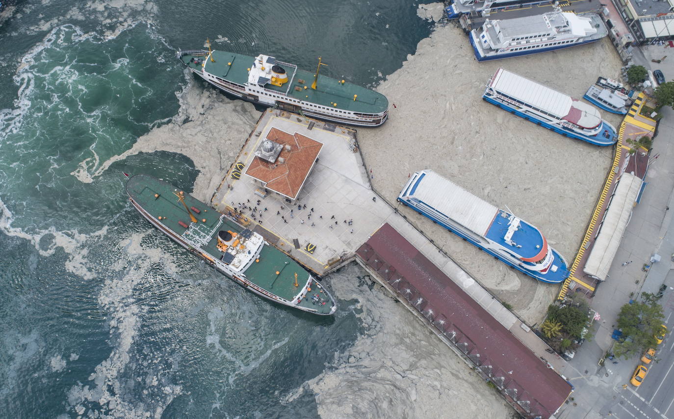 El calentamiento global ha hecho que una capa de mucosidad se extienda por el mar de Mármara, en Turquía. La sustancia se forma como resultado de la proliferación de microalgas. La principal razón de este fenómeno es que la temperatura del agua en el mar se encuentra 2,5 grados por encima de la media de los últimos 40 años.