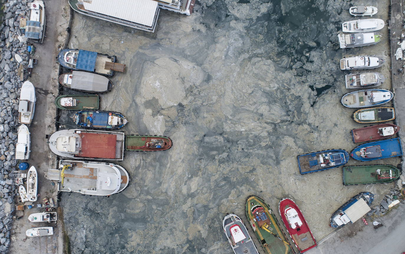 El calentamiento global ha hecho que una capa de mucosidad se extienda por el mar de Mármara, en Turquía. La sustancia se forma como resultado de la proliferación de microalgas. La principal razón de este fenómeno es que la temperatura del agua en el mar se encuentra 2,5 grados por encima de la media de los últimos 40 años.