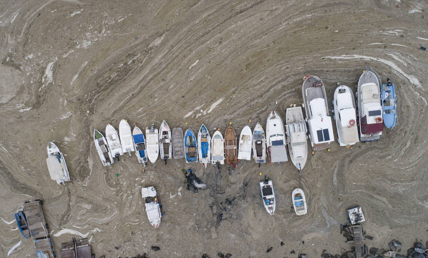 El calentamiento global ha hecho que una capa de mucosidad se extienda por el mar de Mármara, en Turquía. La sustancia se forma como resultado de la proliferación de microalgas. La principal razón de este fenómeno es que la temperatura del agua en el mar se encuentra 2,5 grados por encima de la media de los últimos 40 años.