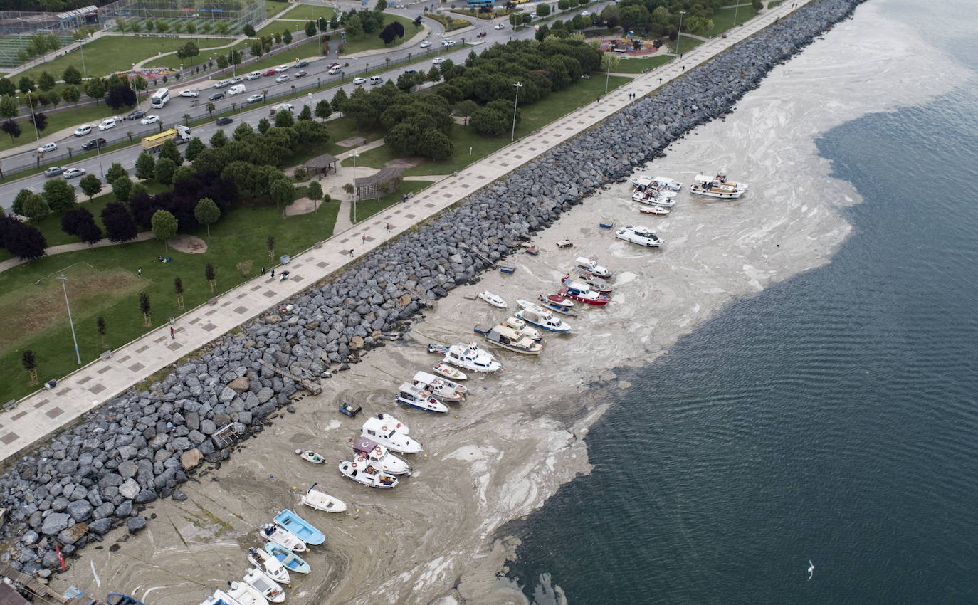 El calentamiento global ha hecho que una capa de mucosidad se extienda por el mar de Mármara, en Turquía. La sustancia se forma como resultado de la proliferación de microalgas. La principal razón de este fenómeno es que la temperatura del agua en el mar se encuentra 2,5 grados por encima de la media de los últimos 40 años.