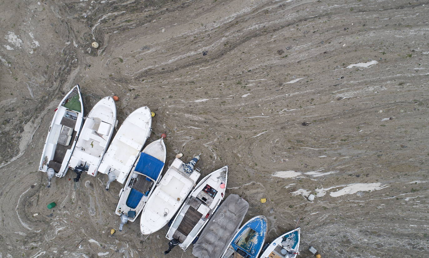 El calentamiento global ha hecho que una capa de mucosidad se extienda por el mar de Mármara, en Turquía. La sustancia se forma como resultado de la proliferación de microalgas. La principal razón de este fenómeno es que la temperatura del agua en el mar se encuentra 2,5 grados por encima de la media de los últimos 40 años.