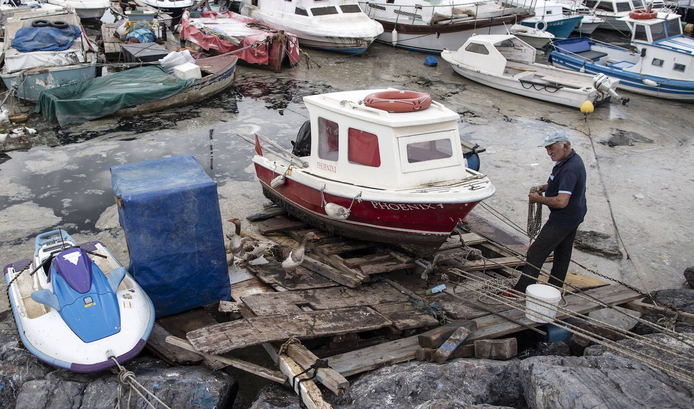 El calentamiento global ha hecho que una capa de mucosidad se extienda por el mar de Mármara, en Turquía. La sustancia se forma como resultado de la proliferación de microalgas. La principal razón de este fenómeno es que la temperatura del agua en el mar se encuentra 2,5 grados por encima de la media de los últimos 40 años.