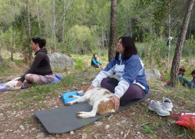 Imagen secundaria 1 - Momentos de algunas sesiones de doga, que favorecen la relajación y el contacto de nuestras mascotas con la naturaleza.