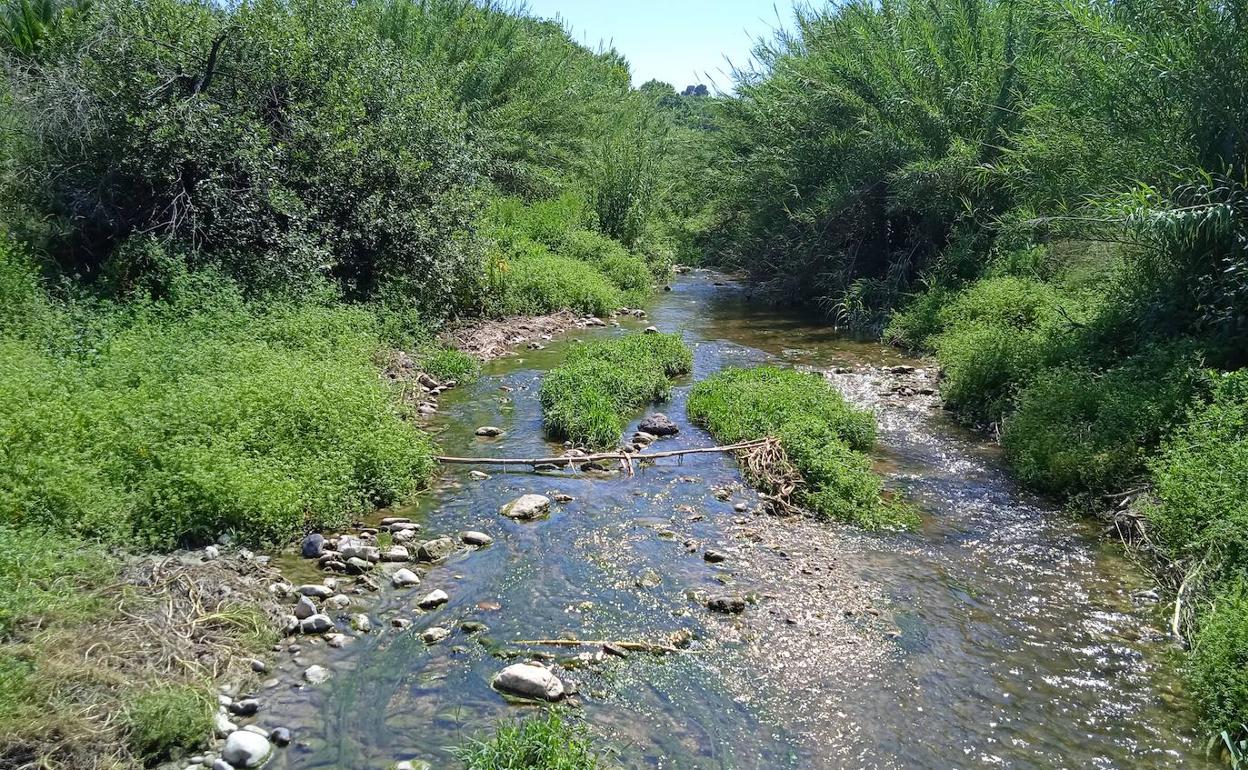 El río Serpis a su paso por Cocentaina. 