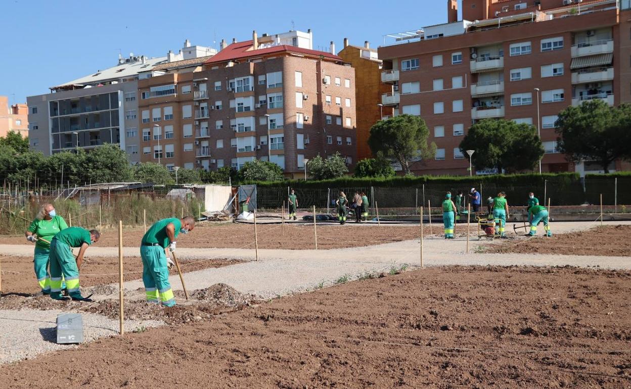 Los alumnos del taller preparan el terreno. 