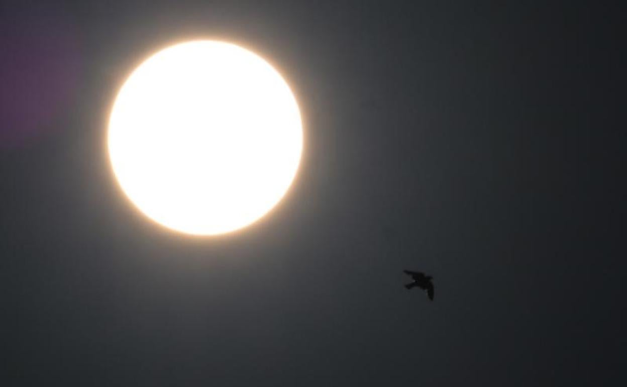 Las fases del eclipse solar visible desde Valencia.