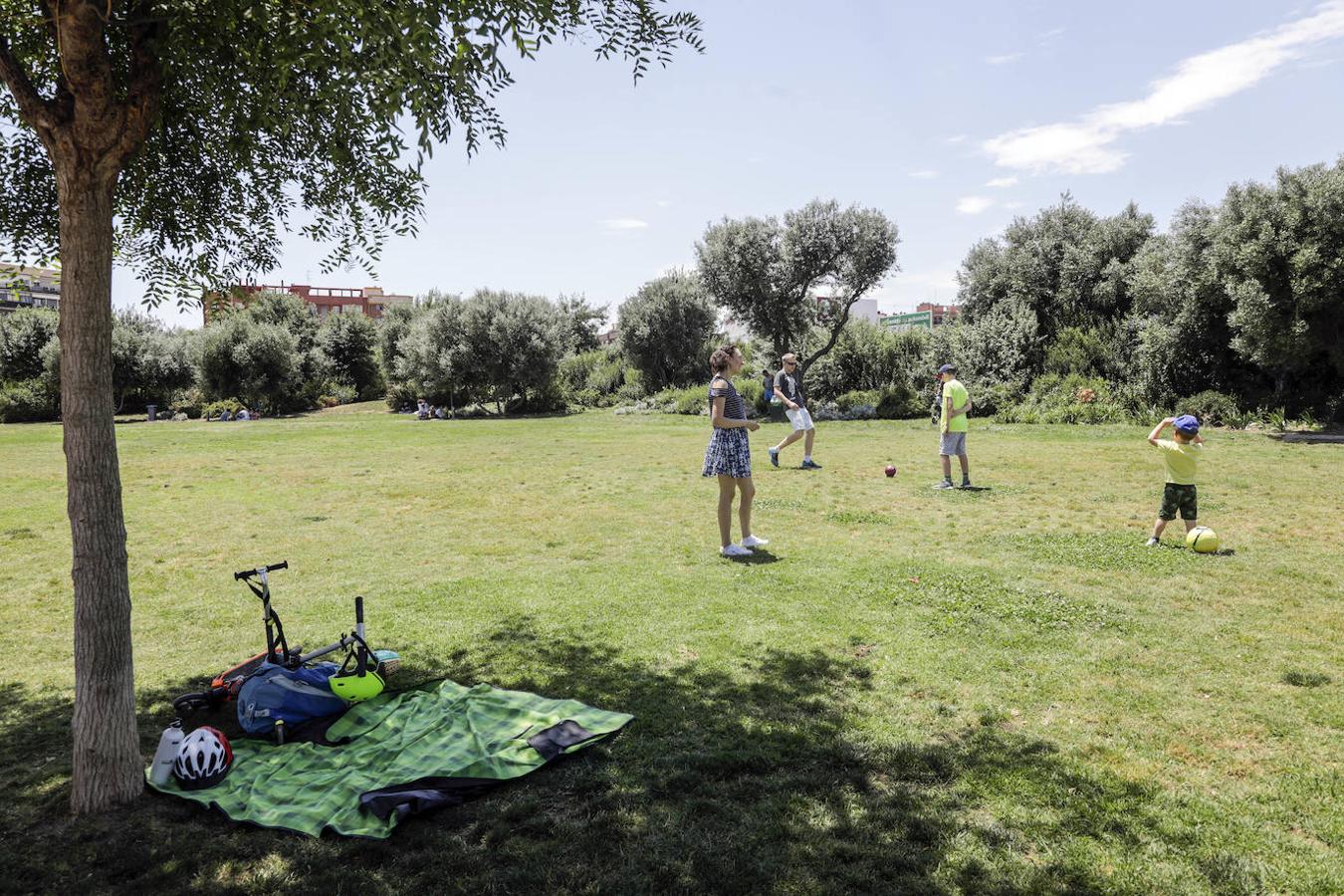 El Parque Central es escenario de numerosos picnics cada fin de semana