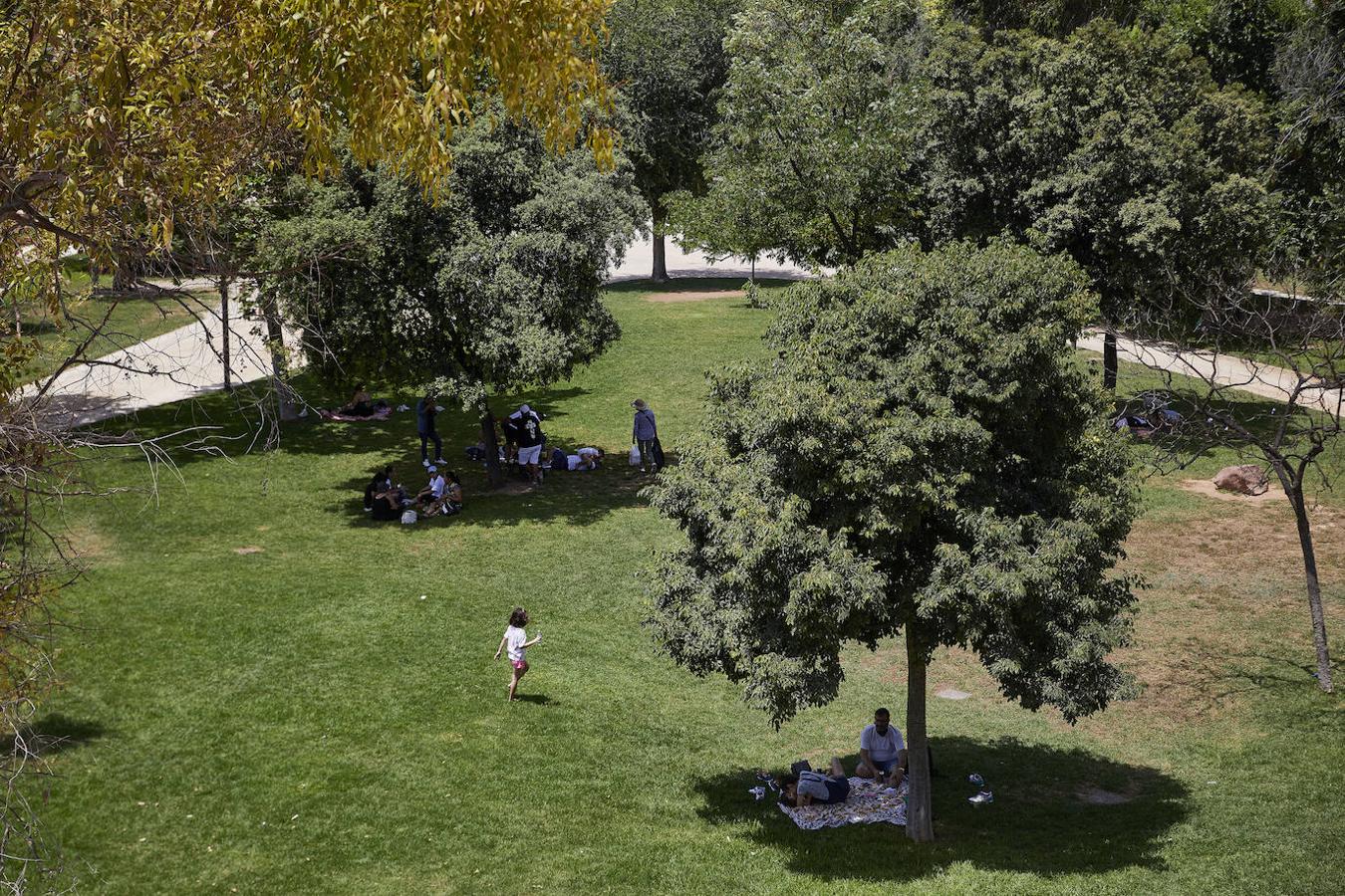 Picnics en el Jardín del Turia