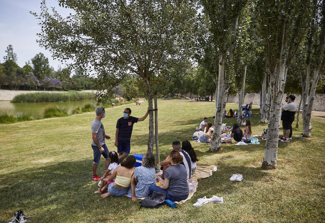 Picnics en el Jardín del Turia