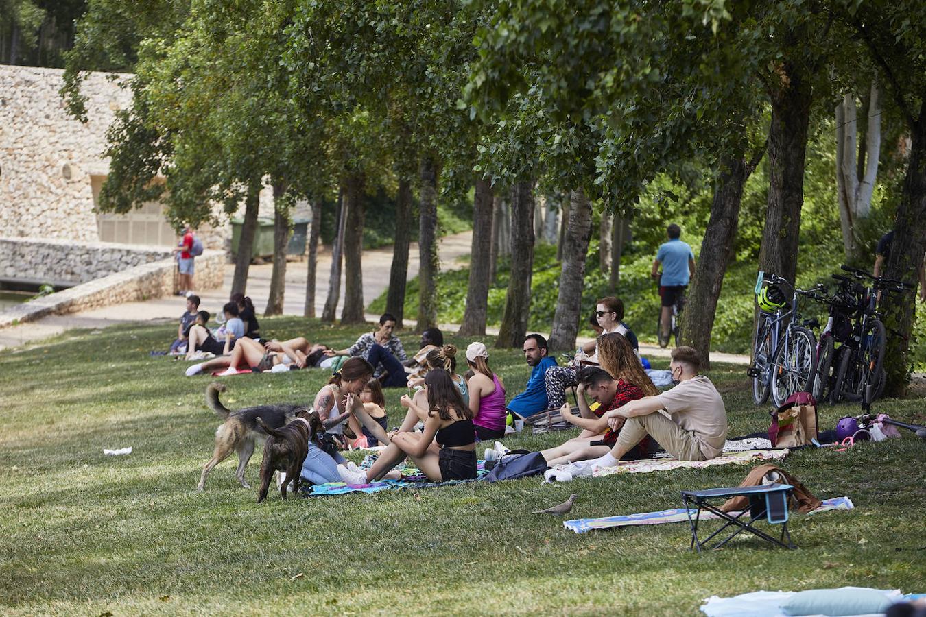 Pícnics en el Jardín del Turia