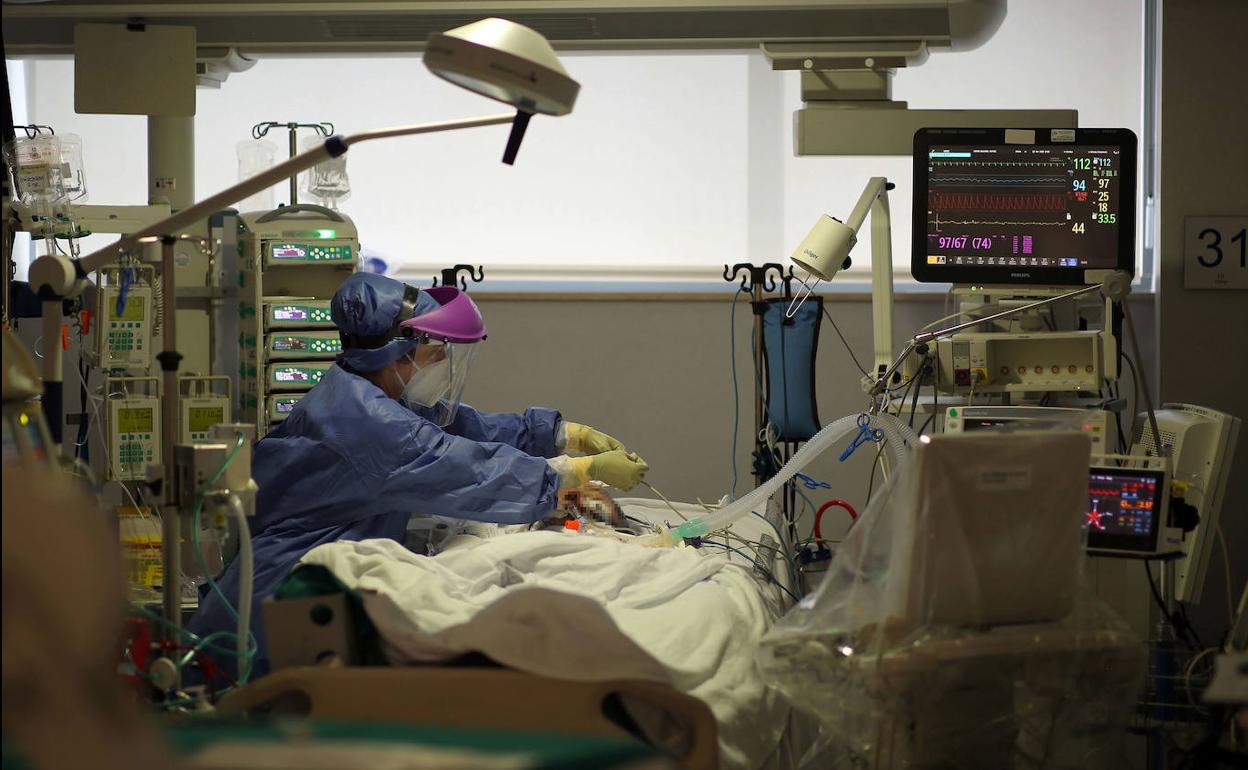 El personal sanitario atiende a un paciente con Covid en el hospital La Fe de Valencia.