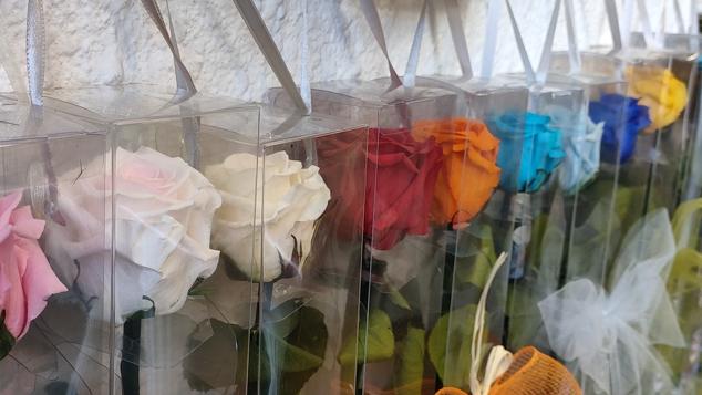 Enfrente del hospital Casa de Salud, se encuentra la floristería La Salud, que también vende flores para fallas cercanas como Duc de Gaeta – Pobla de Farnals. Su dueña, María Teresa Lloscos, cuenta que, tras el confinamiento, todos los vecinos han ido a comprar a las tiendas del barrio, para ayudarse. Observa que el vecindario “ha evolucionado muchísimo”.