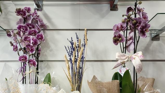 Enfrente del hospital Casa de Salud, se encuentra la floristería La Salud, que también vende flores para fallas cercanas como Duc de Gaeta – Pobla de Farnals. Su dueña, María Teresa Lloscos, cuenta que, tras el confinamiento, todos los vecinos han ido a comprar a las tiendas del barrio, para ayudarse. Observa que el vecindario “ha evolucionado muchísimo”.