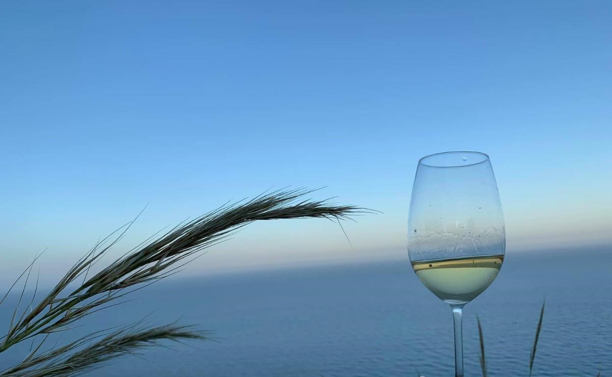 Vinos valencianos que te refrescan el verano: sugerencias de cuatro expertos