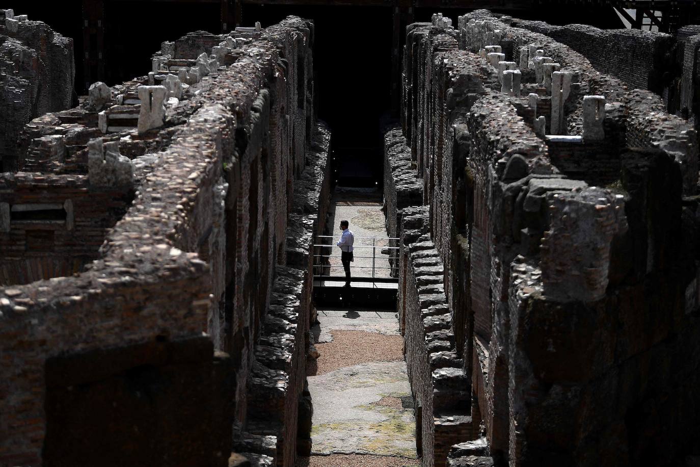 Fotos: El Coliseo abre al público la antecámara de la muerte para leones y gladiadores