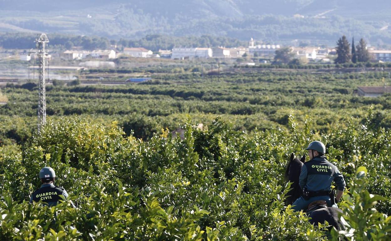 Agentes de la Guardia Civil peinan unos campos próximos a la comarca de La Costera. 