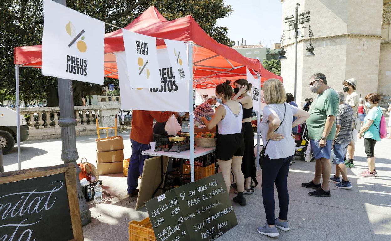 Agricultores valencianos reivindican precios justos con un mercado extraordinario