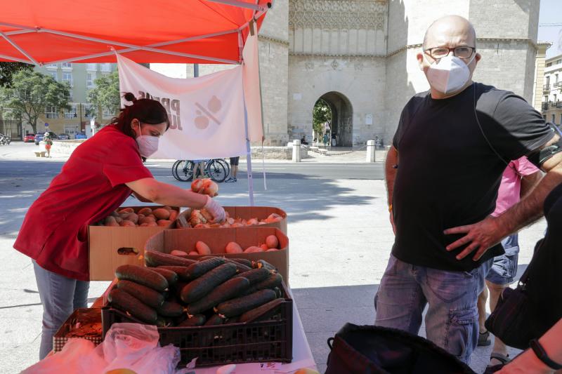 Fotos: Mercado extraordinario de venta directa frente a las Torres de Serranos