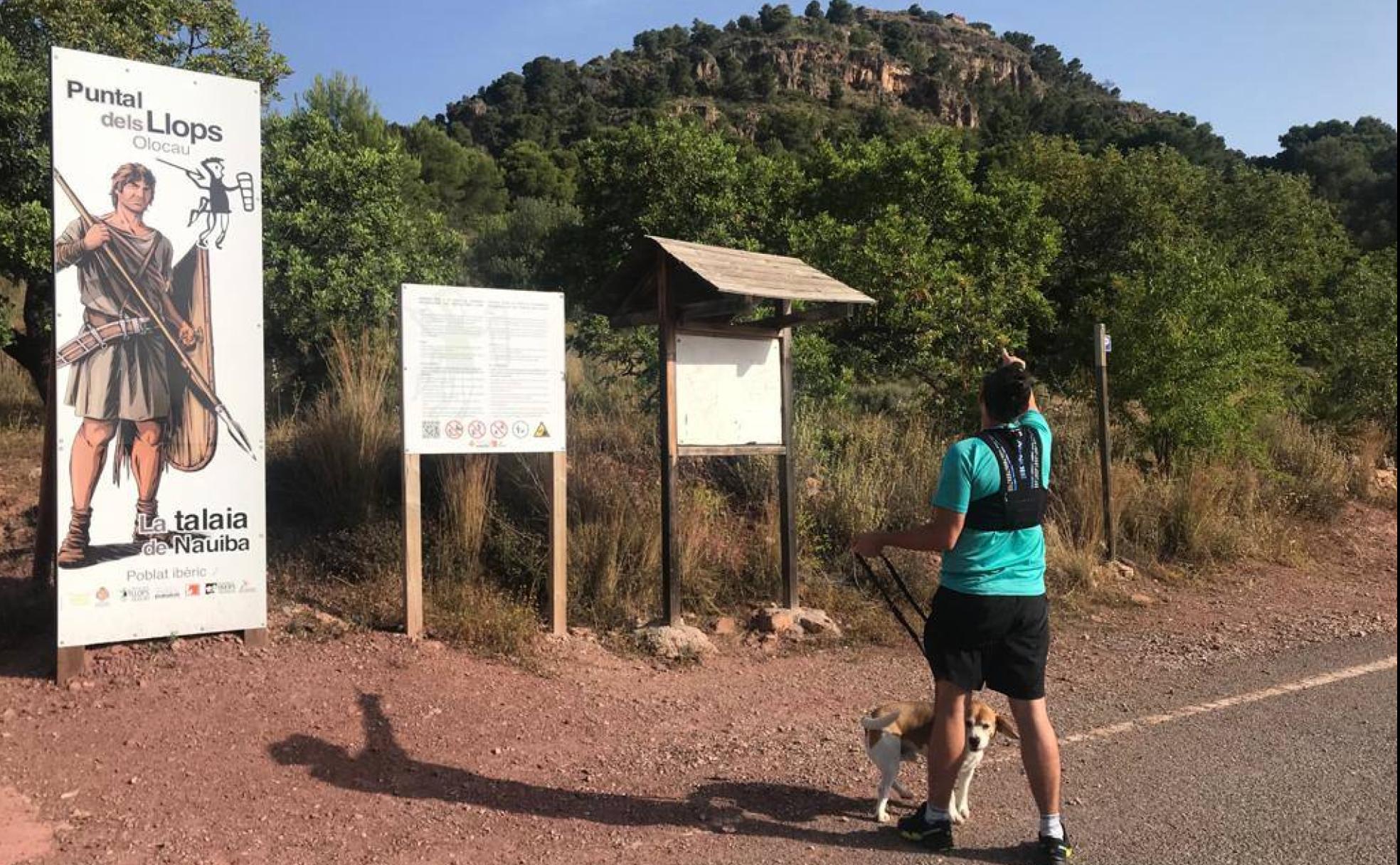 Inicio de la ruta de los Íberos El Puntal dels Llops en la localidad de Olocau. 