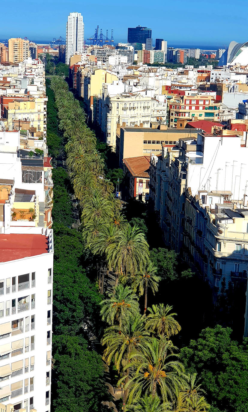 Fotos: Con vistas a Valencia