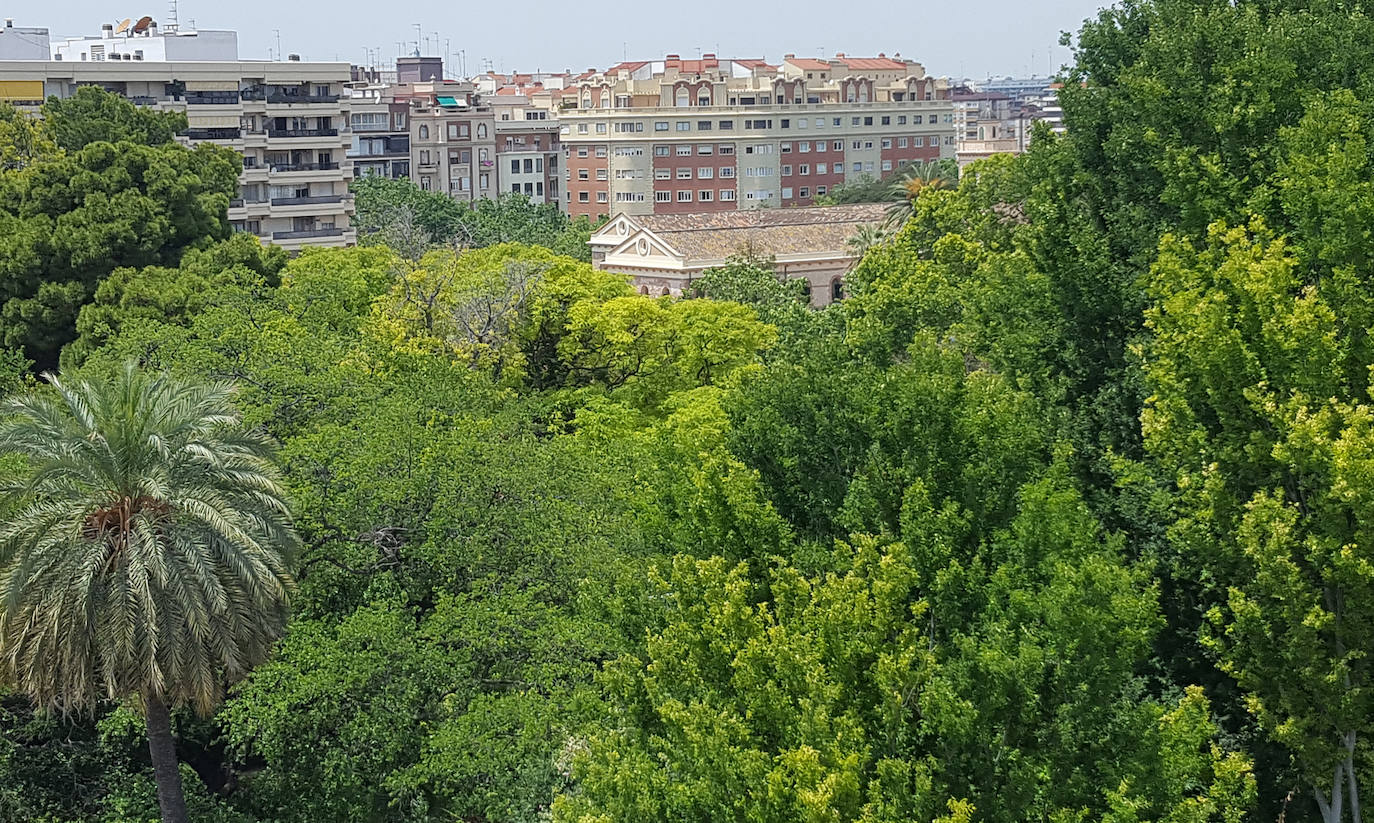 Fotos: Con vistas a Valencia