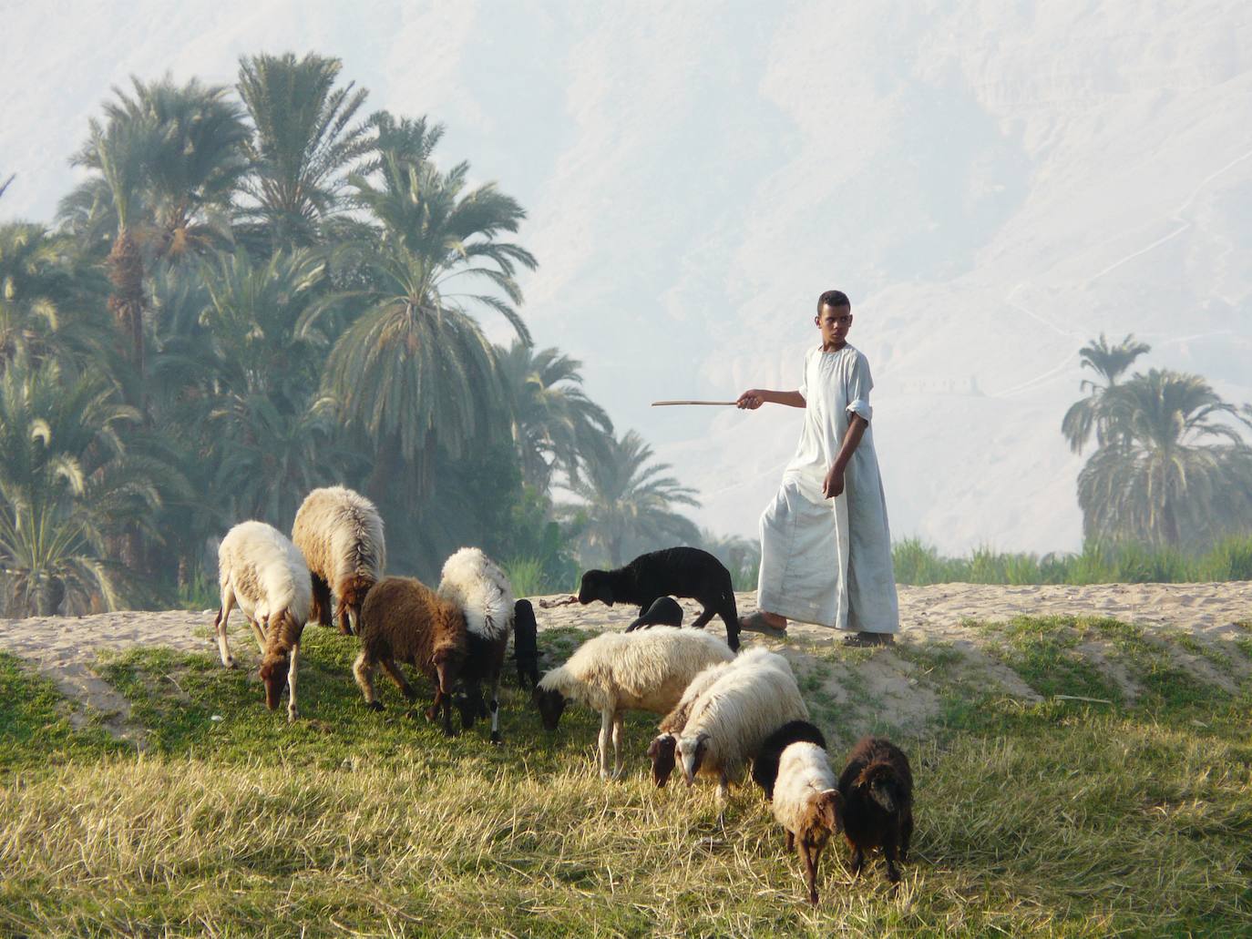 Egipto se abre a los turistas. Un país que a nadie deja indiferente, misterioso y fascinante. Egipto es un lugar seguro que ha sabido controlar la pandemia del coronavirus con éxito. Con una incidencia de solo 6,3 por 100.000 personas y relativamente pocos casos de Covid, en un país que tiene más de 100 millones de habitantes, la nación de los faraones trata de dar facilidades a sus visitantes. 