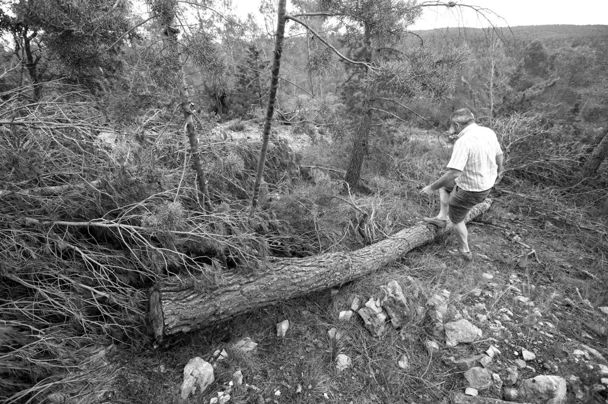 La lucha contra los incendios