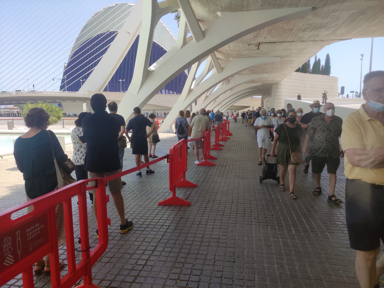 Colas para vacunarse en Valencia este sábado 3 de julio. 