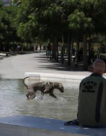 Imagen secundaria 2 - Aviso naranja por fuerte calor: las temperaturas se disparan hasta 40º en Valencia y Alicante