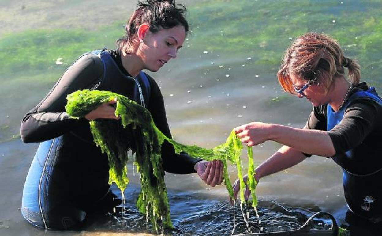 El III Encuentro de los Mares explora el potencial verde del mar