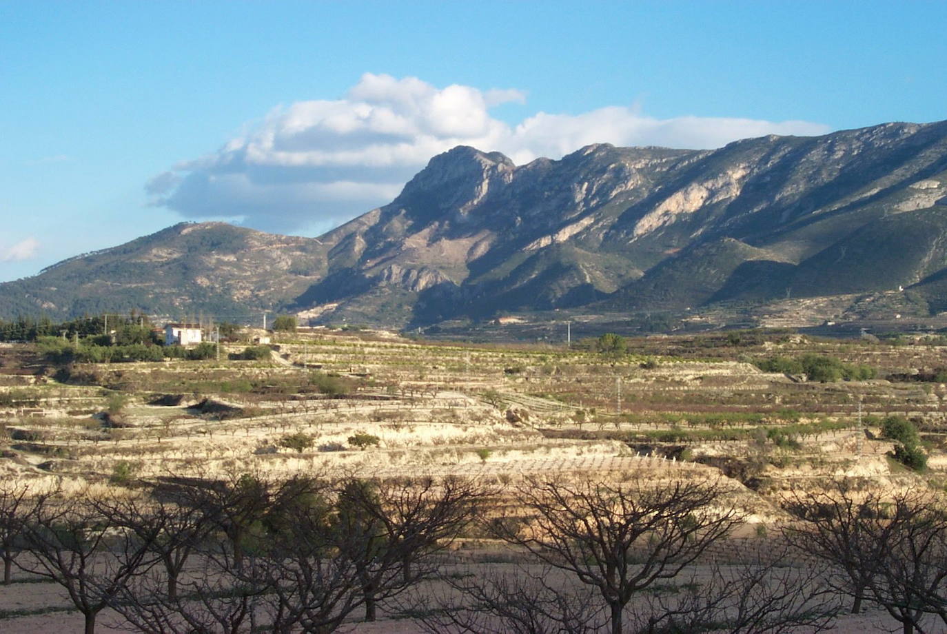 El Benicadell es un pico ubicado en una sierra de igual nombre, de 1105 metros de altura. Separa las comarcas de la Vall d'Albaida y el Condado de Cocentaina, y es una cumbre que todo alpinista valenciano debe escalar antes de enfrentarse a montañas más elevadas. No solo posee una gran diversidad de fauna y flora, sino que cuenta con lugares históricos como el castillo de la Carbonera, una fortificación visitada por Rodrigo Díaz en el Cantar de mío Cid