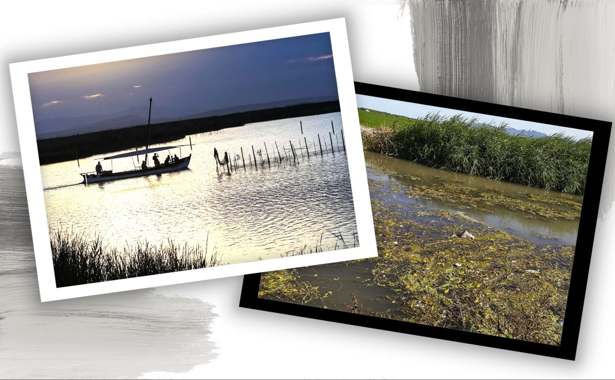 35 años de claroscuros para la Albufera