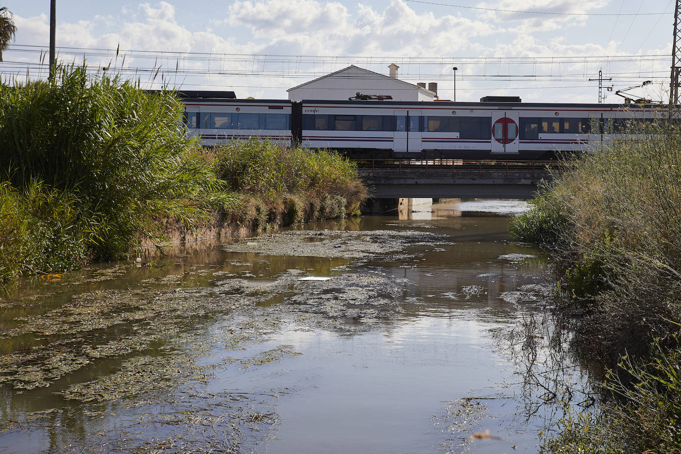 La Albufera de Valencia conmemora la aprobación de su declaración como parque natural con los vertidos y la falta de agua como principales problemas. 