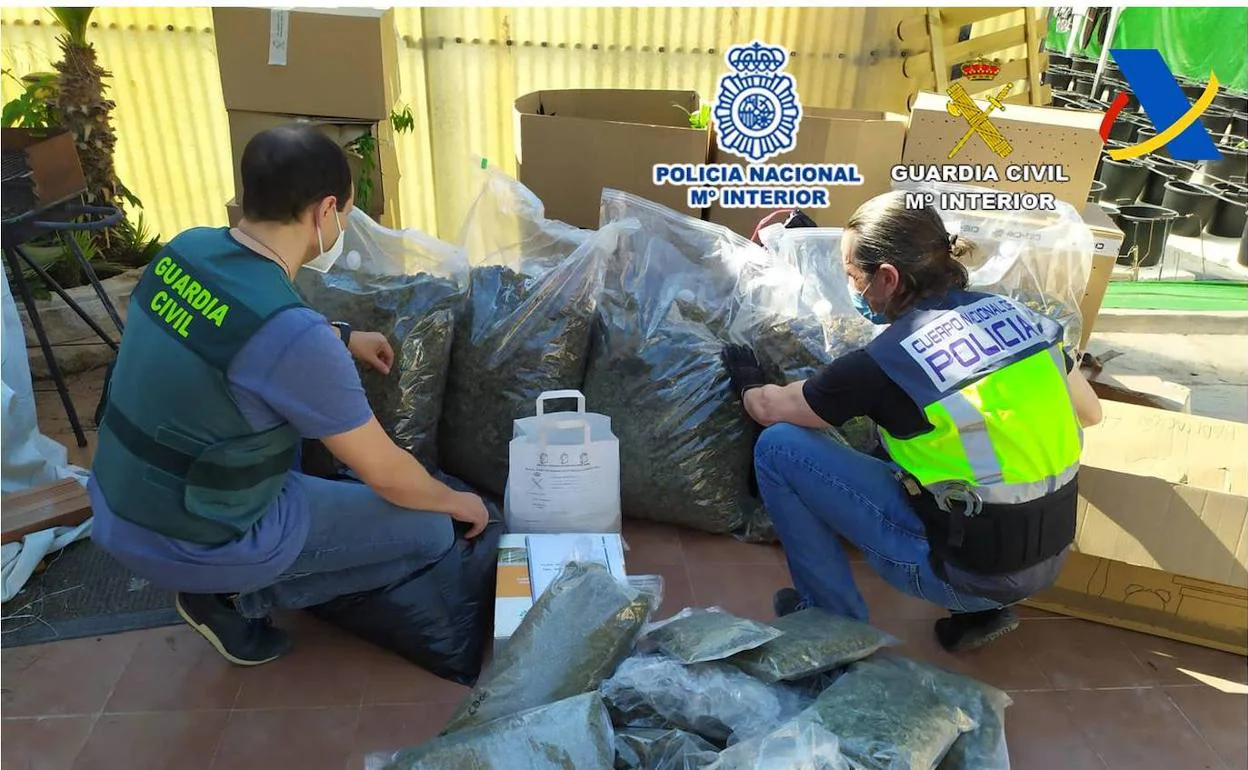 Los agentes cuentan las bolsas con 113 kilos de cannabis envasados al vacío. 