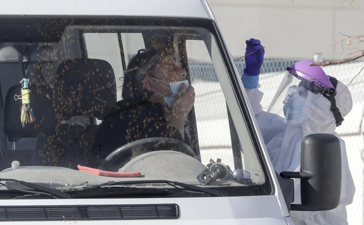 Una sanitaria realiza una PCR a un hombre en el hospital provisional de La Fe. 