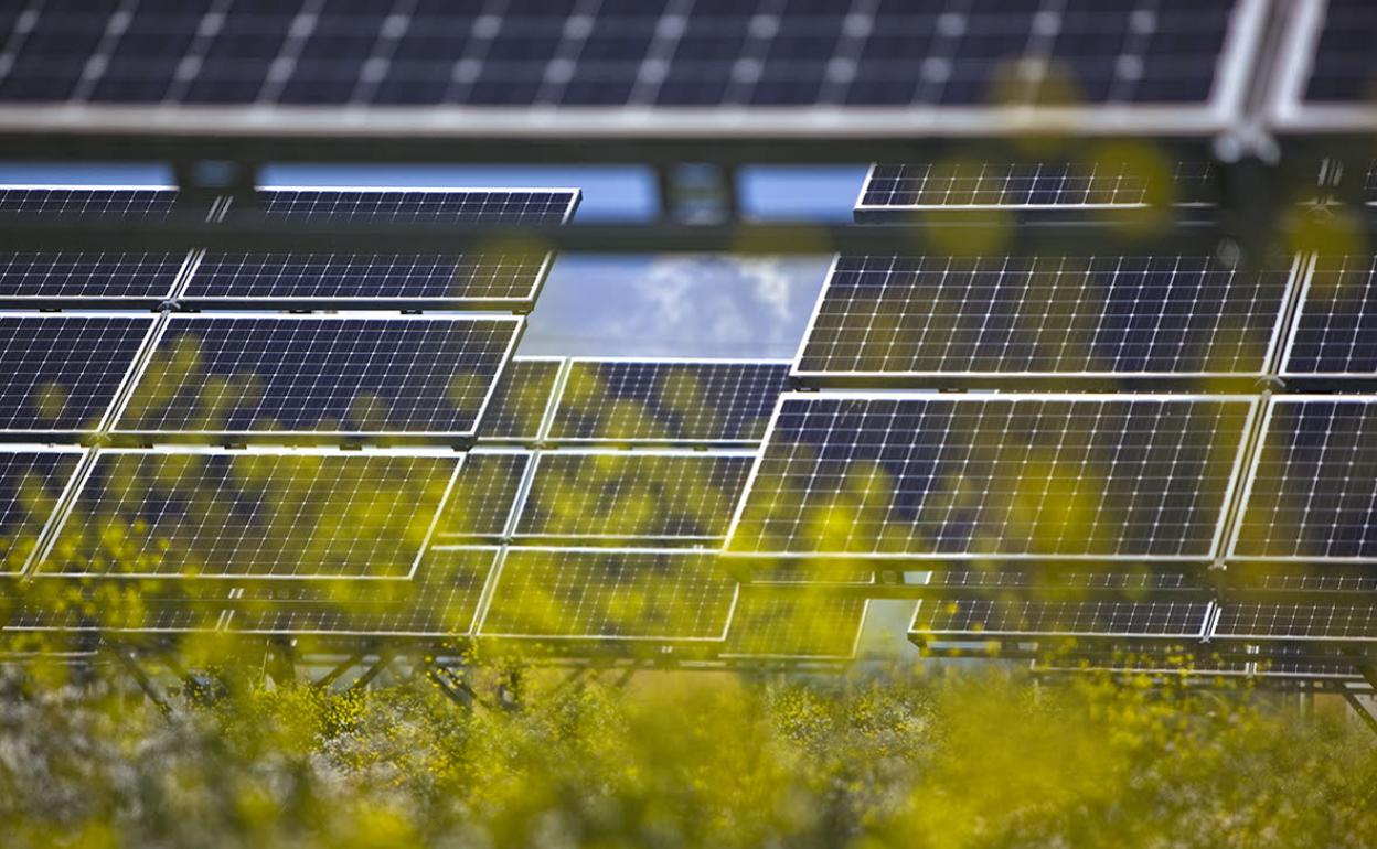 Parque solar instalado en la provincia de Valencia. 