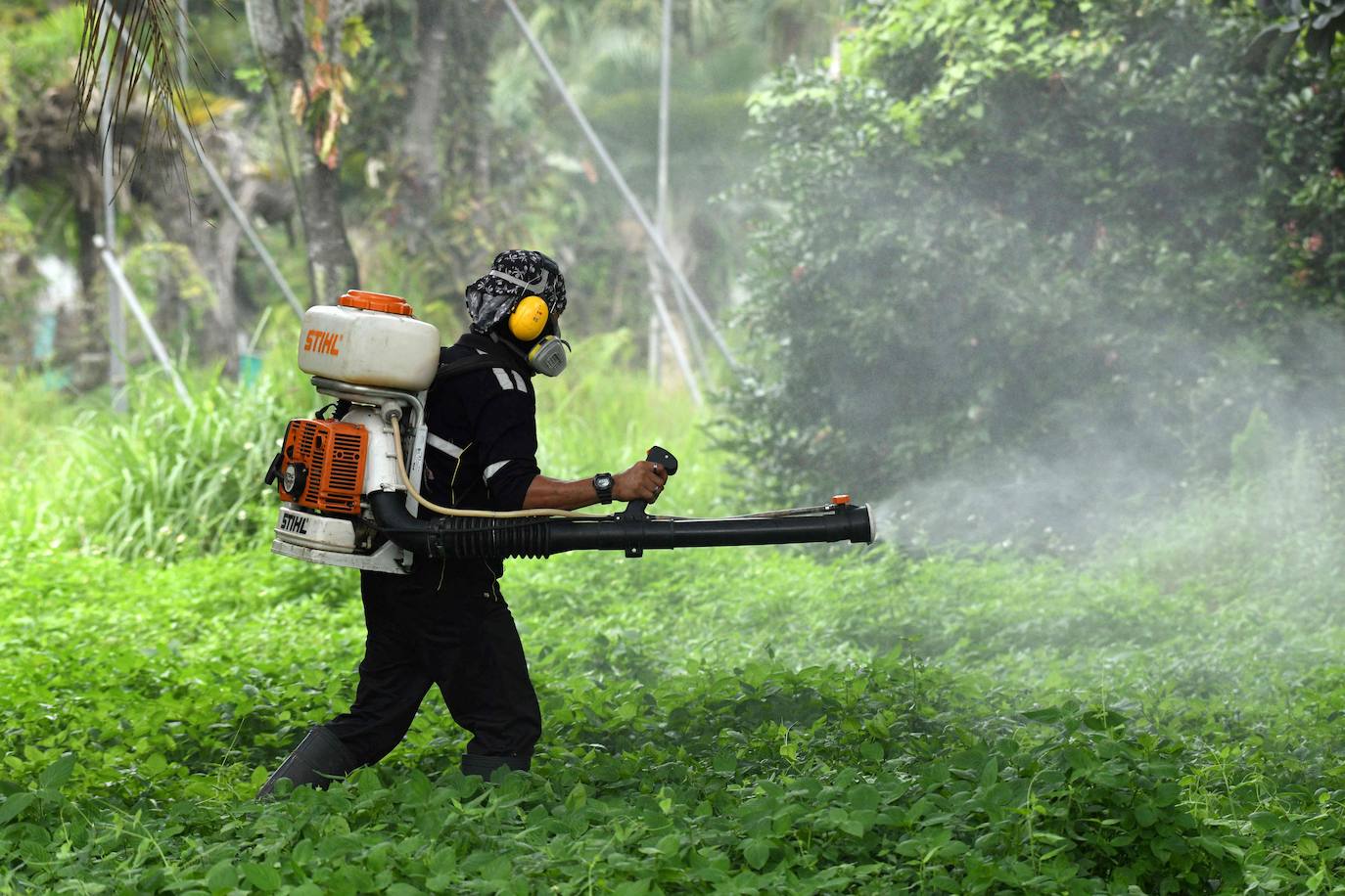 La fumigación es importante en la lucha contra los insectos
