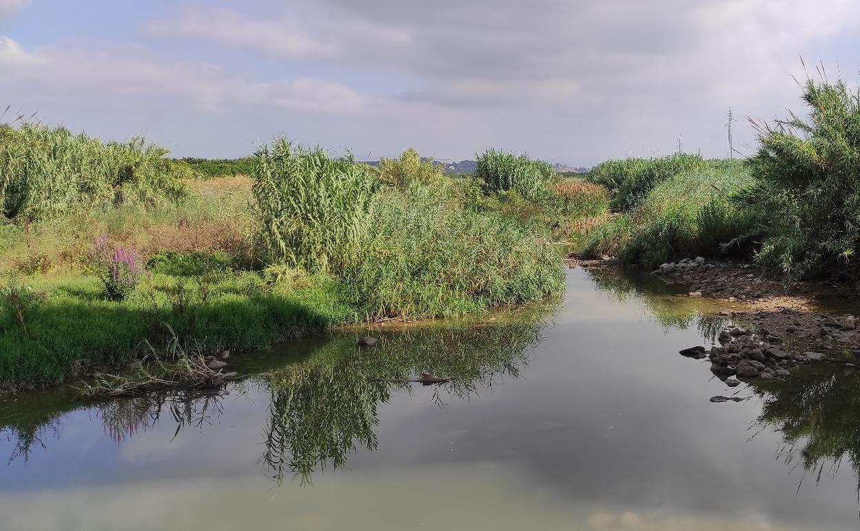 Río Albaida a su paso por Castelló. 