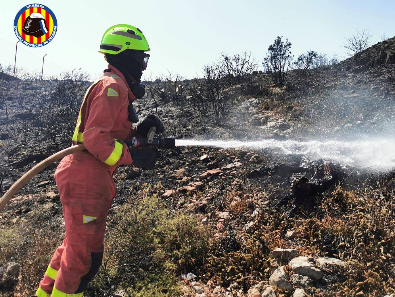 Un incendio en una zona de matorral ha obligado a desalojar este sábado 17 de julio a 1.400 personas del parque Aquópolis de Cullera. 