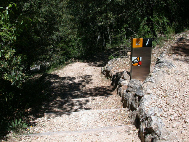 En el parque natural del Carrascal de la Font Roja se organiza una actividad de observación de mariposas nocturnas desde hace siete años. El clima fresco del lugar atrae a especies de este insecto nunca antes observadas en la Comunitat Valenciana. 