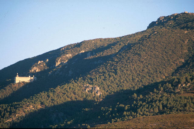 En el parque natural del Carrascal de la Font Roja se organiza una actividad de observación de mariposas nocturnas desde hace siete años. El clima fresco del lugar atrae a especies de este insecto nunca antes observadas en la Comunitat Valenciana. 