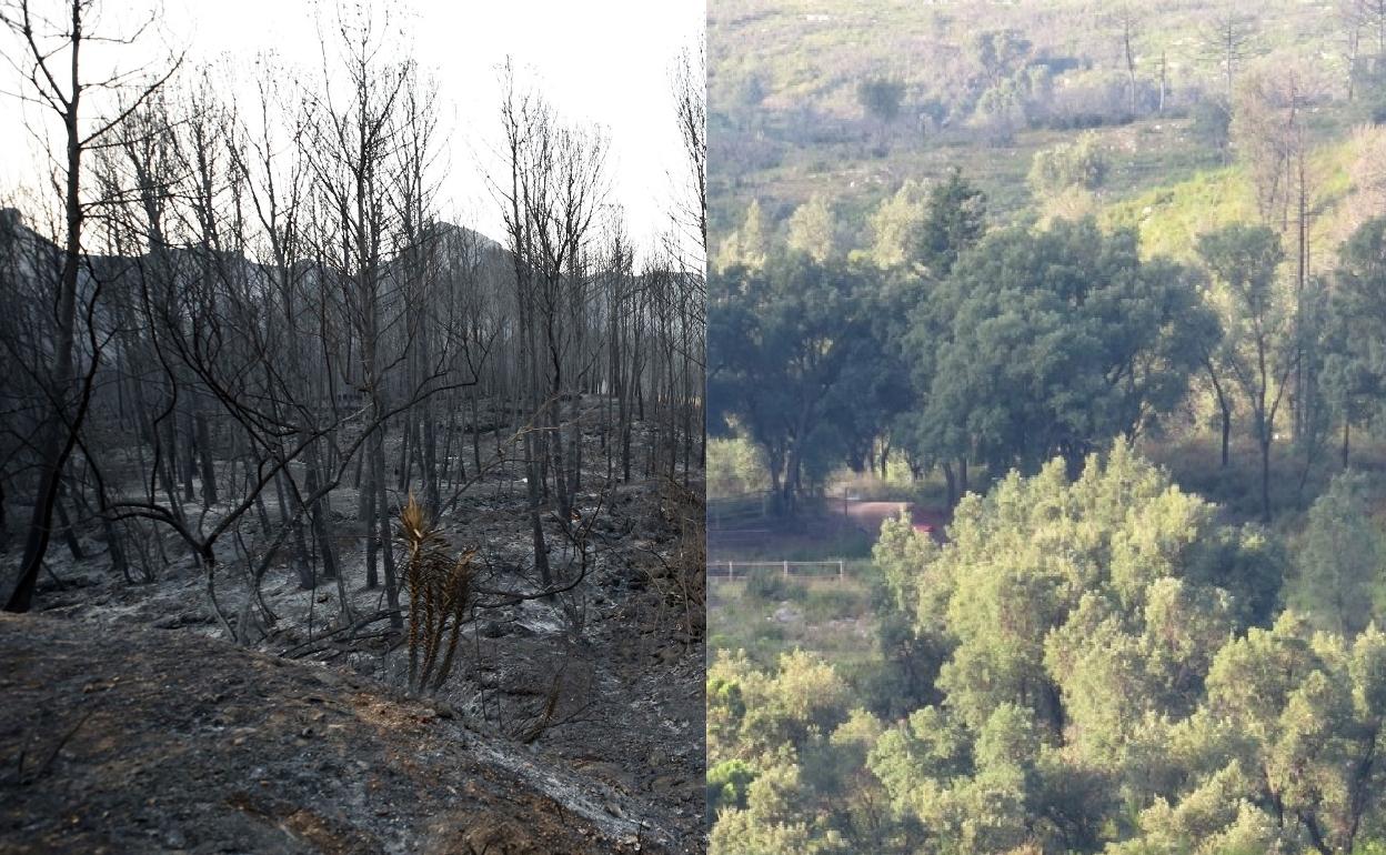 A la izquierda estado del paraje tras el incendio y a la derecha El Surar en la actualidad.