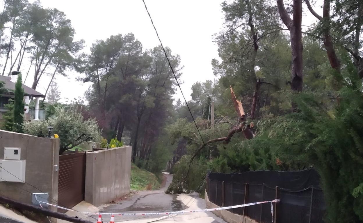 Uno de los desperfectos provocados por el temporal Gloria en el término de Agullent. 