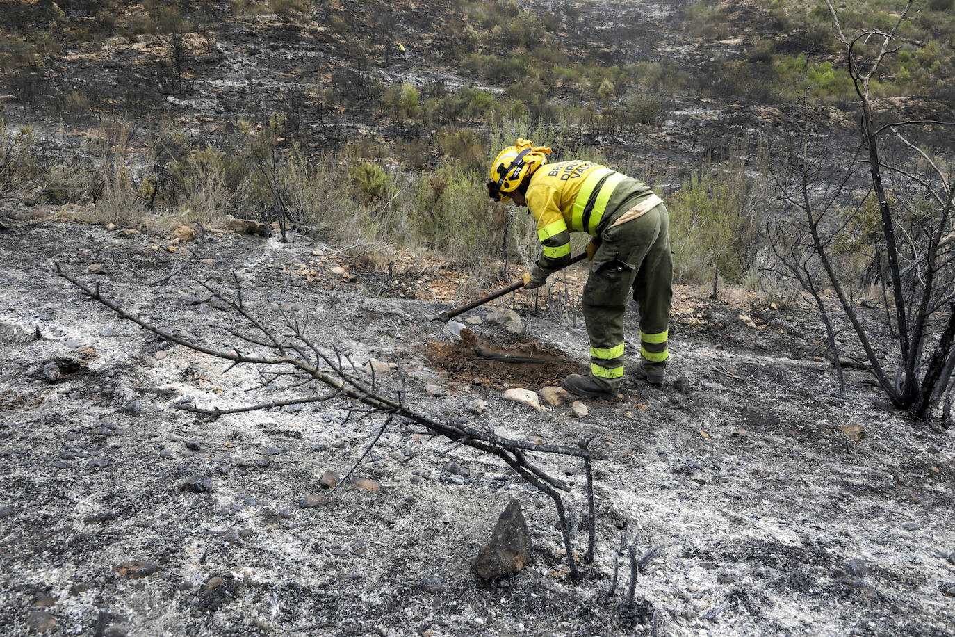 Incendio en Rafelguaraf (agosto 2021). 