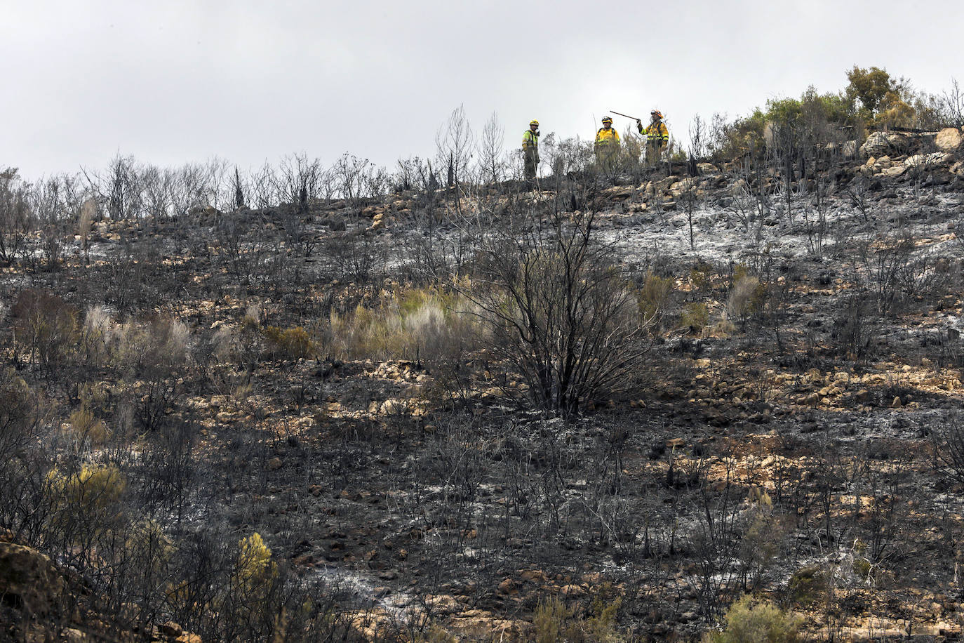 Incendio en Rafelguaraf (agosto 2021). 