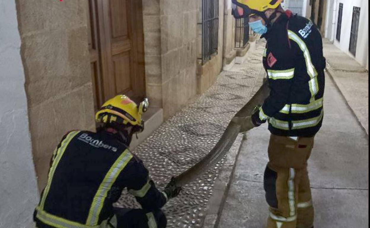 Dos bomberos recogen la serpiente. 