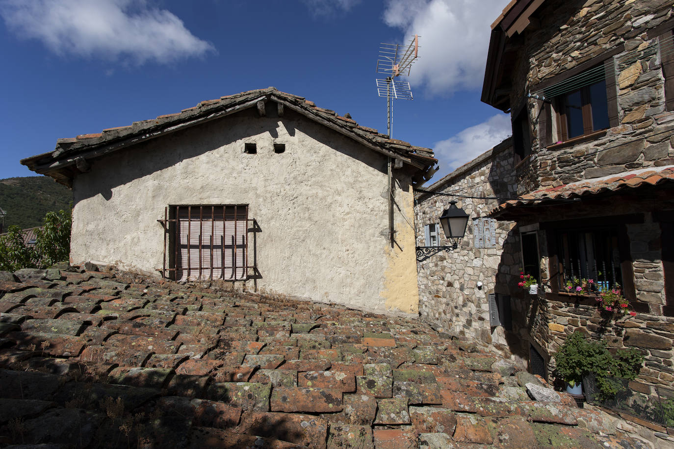 El municipio de Puebla de la Sierra se encuentra dentro de la Sierra del Rincón, catalogada por la UNESCO como Reserva de la Biosfera. El paisaje está dominado por masas boscosas con grandes extensiones de pinares y robledales autóctonos. Además, la riqueza zoológica es considerable. Los orígenes de Puebla de la Sierra comienzan en el siglo XII a raíz de la construcción de varios asentamientos. Tras la Reconquista, la zona se repobló y se erigieron en ella edificios de piedra oscura con detalles de madera, de los cuales permanecen algunos.