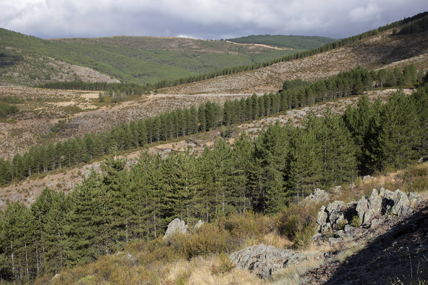 El municipio de Puebla de la Sierra se encuentra dentro de la Sierra del Rincón, catalogada por la UNESCO como Reserva de la Biosfera. El paisaje está dominado por masas boscosas con grandes extensiones de pinares y robledales autóctonos. Además, la riqueza zoológica es considerable. Los orígenes de Puebla de la Sierra comienzan en el siglo XII a raíz de la construcción de varios asentamientos. Tras la Reconquista, la zona se repobló y se erigieron en ella edificios de piedra oscura con detalles de madera, de los cuales permanecen algunos.